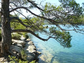 berges lac d'esparron